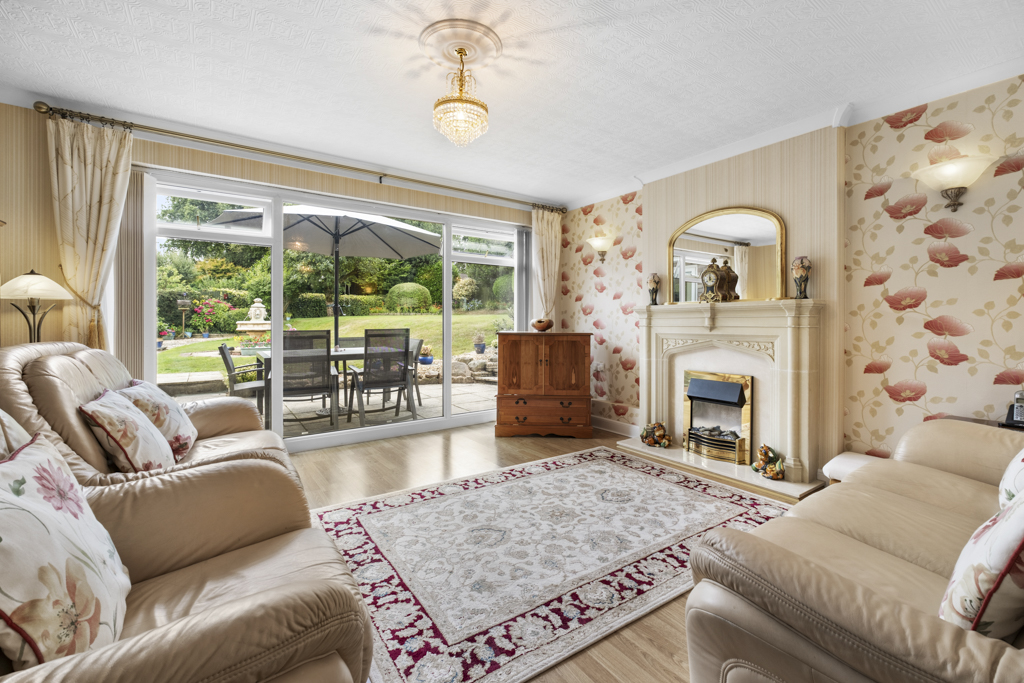 The Best Editor cover