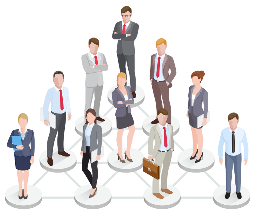 Team Collaboration